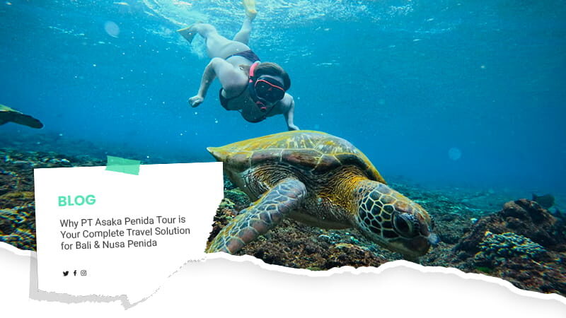 Artikel PT Asaka Penida Tour 2