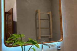 Asaka Private Villa (7)