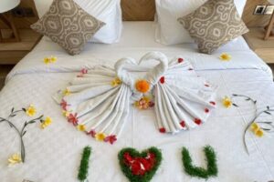 Asaka Private Villa (9)