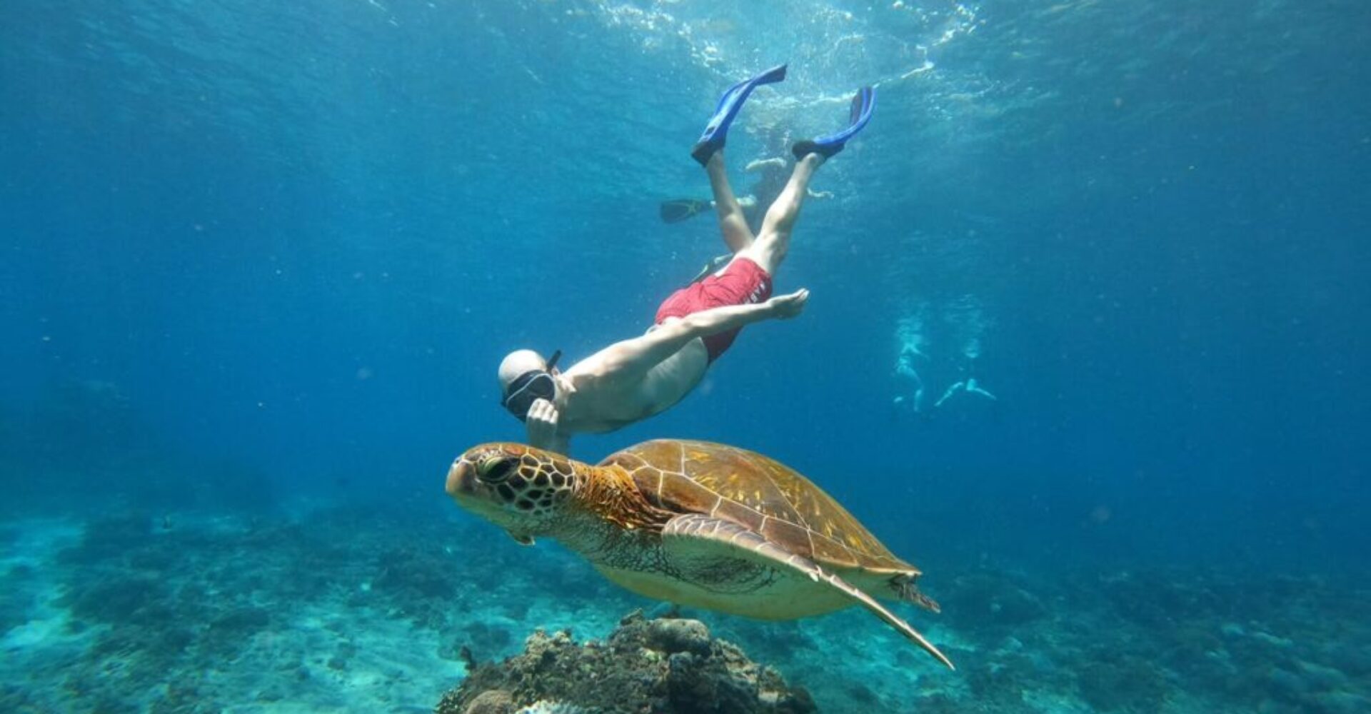 From Bali Manta Point Snorkeling 3-Spot + Lunch & Pickup (16) From Bali Manta Point Snorkeling 3-Spot + Lunch & Pickup (16)