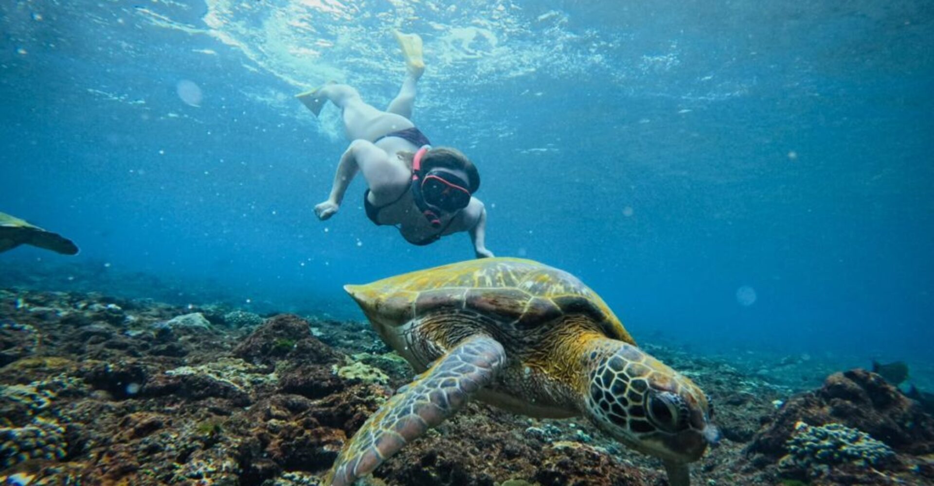 From Bali Manta Point Snorkeling 3-Spot + Lunch & Pickup (17) From Bali Manta Point Snorkeling 3-Spot + Lunch & Pickup (17)