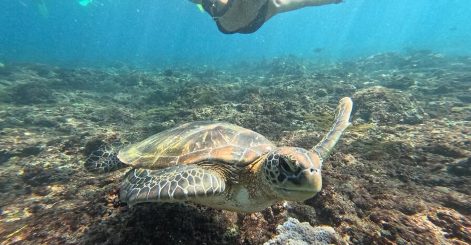 Nusa Penida Snorkeling Adventure 3-Spots with Manta Rays (18) Nusa Penida Snorkeling Adventure 3-Spots with Manta Rays (18)