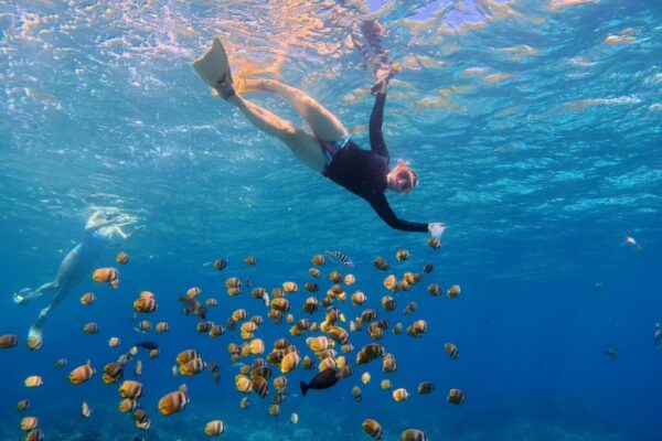 Nusa Penida Snorkeling Adventure 3-Spots with Manta Rays (20)