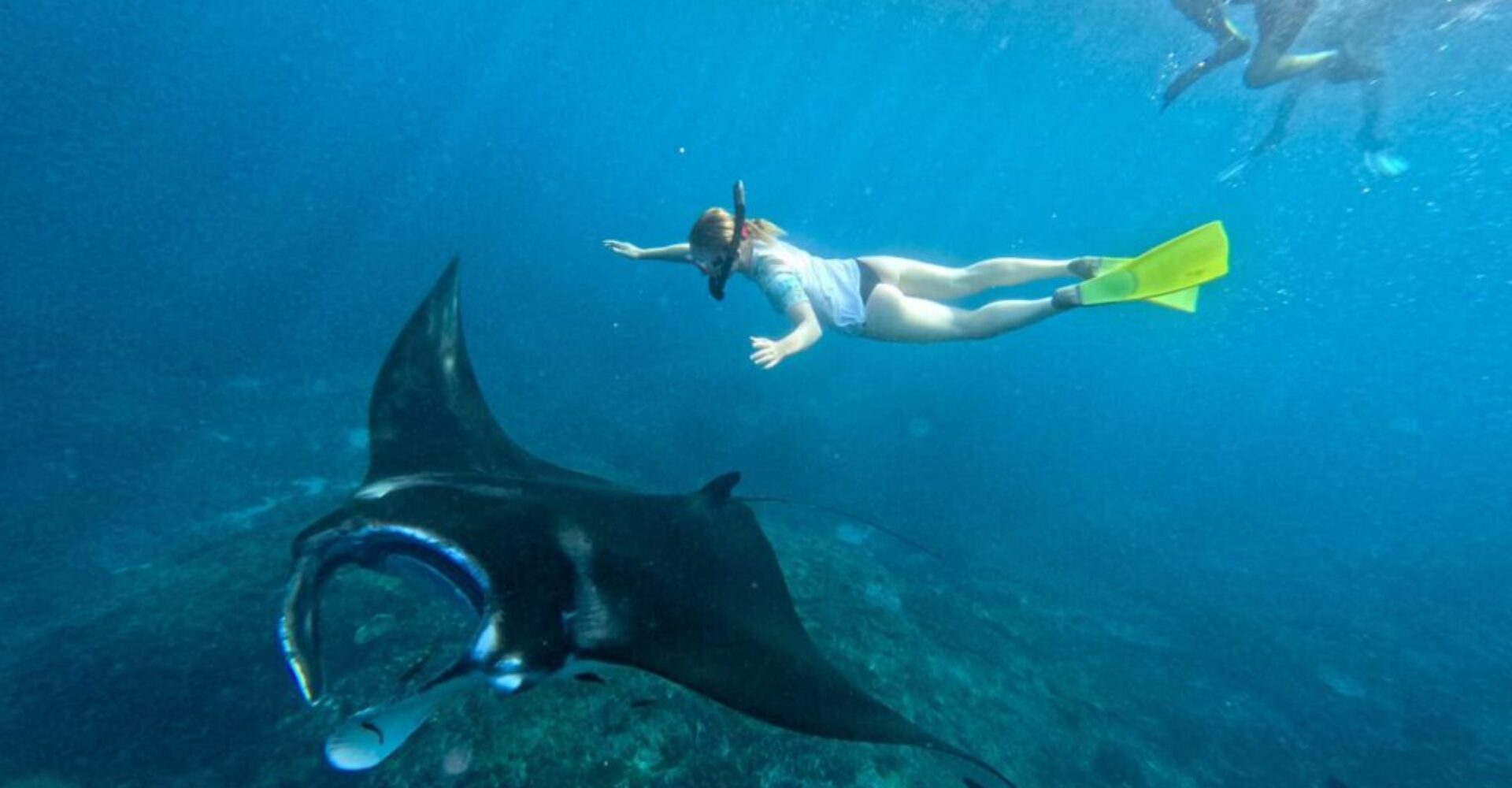 Nusa Penida Snorkeling Adventure 3-Spots with Manta Rays (22) Nusa Penida Snorkeling Adventure 3-Spots with Manta Rays (22)