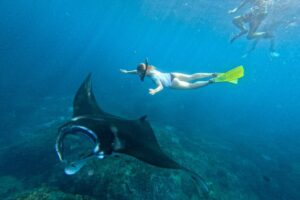 Nusa Penida Snorkeling Adventure 3-Spots with Manta Rays (22)