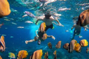 Nusa Penida Snorkeling Adventure 3-Spots with Manta Rays (25)