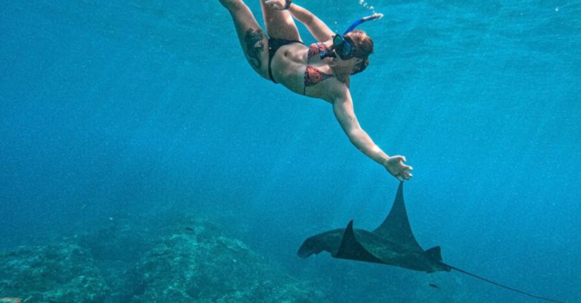 Nusa Penida Snorkeling Adventure 3-Spots with Manta Rays (26) Nusa Penida Snorkeling Adventure 3-Spots with Manta Rays (26)
