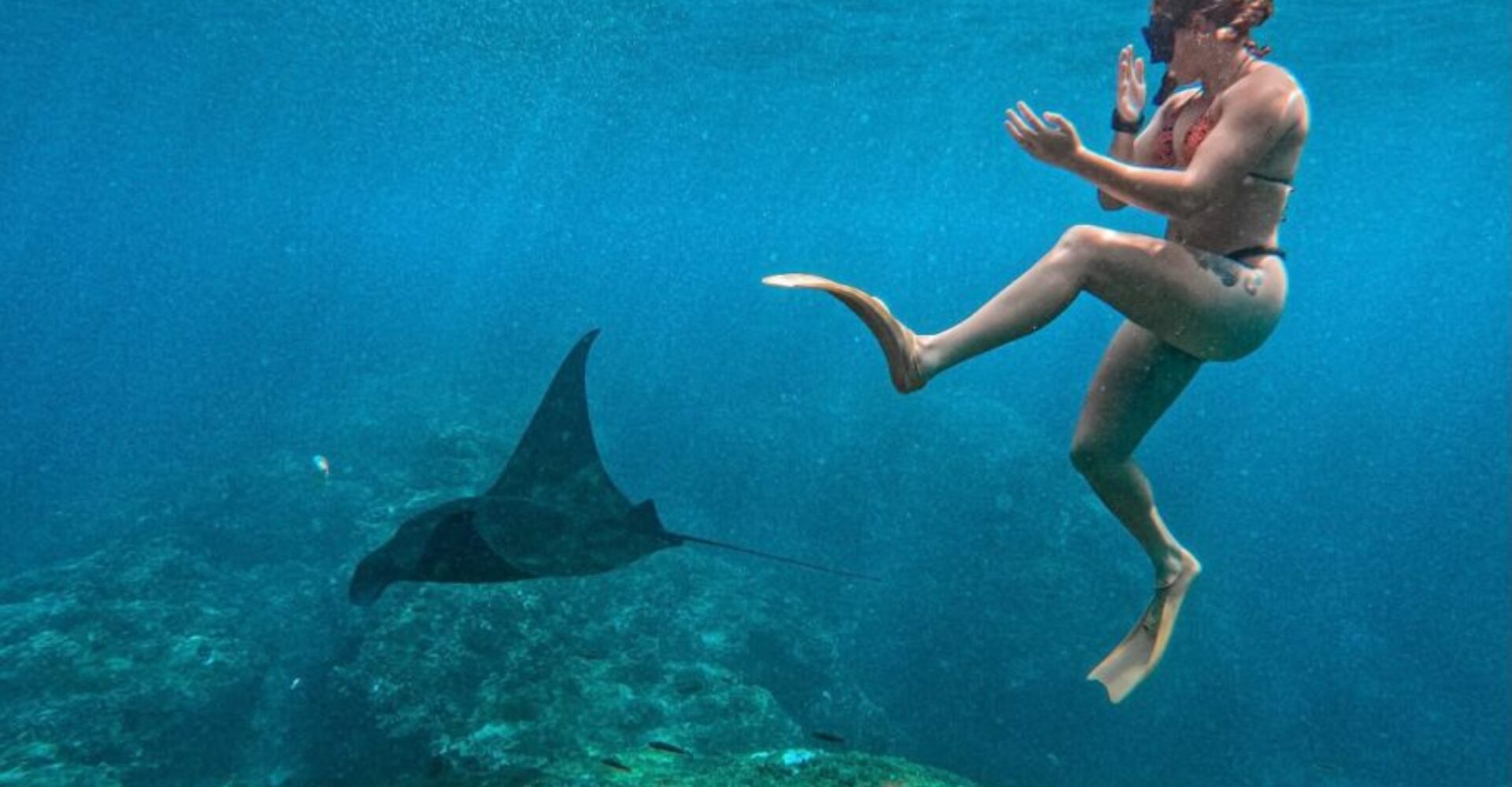Nusa Penida Snorkeling Adventure 3-Spots with Manta Rays (28) Nusa Penida Snorkeling Adventure 3-Spots with Manta Rays (28)