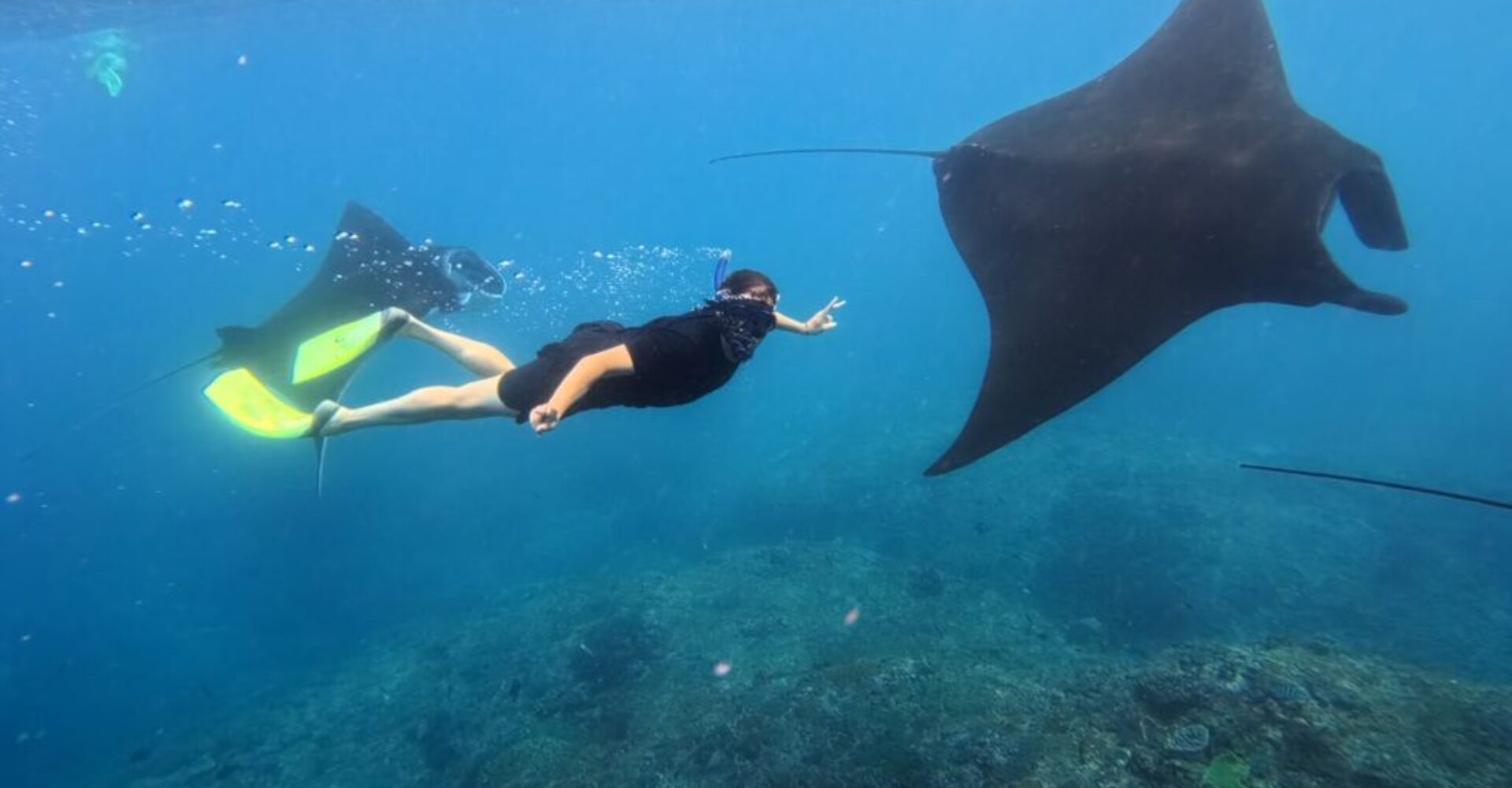 Nusa Penida Snorkeling Adventure 3-Spots with Manta Rays (5) Nusa Penida Snorkeling Adventure 3-Spots with Manta Rays (5)