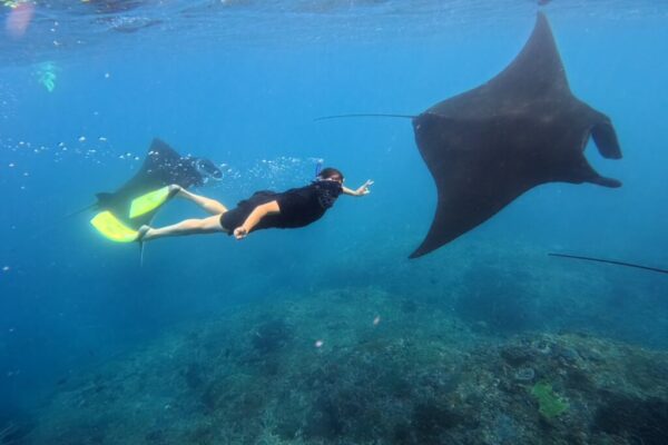 Nusa Penida Snorkeling Adventure 3-Spots with Manta Rays (5)