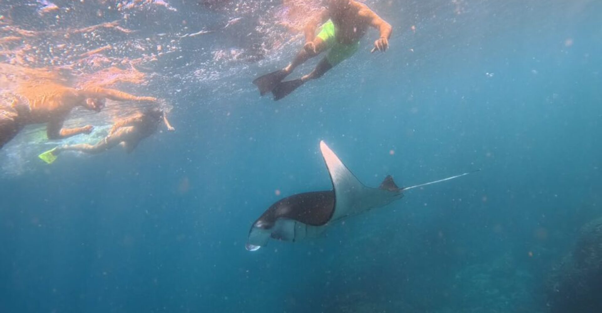 Nusa Penida Snorkeling Adventure 3-Spots with Manta Rays (6) Nusa Penida Snorkeling Adventure 3-Spots with Manta Rays (6)