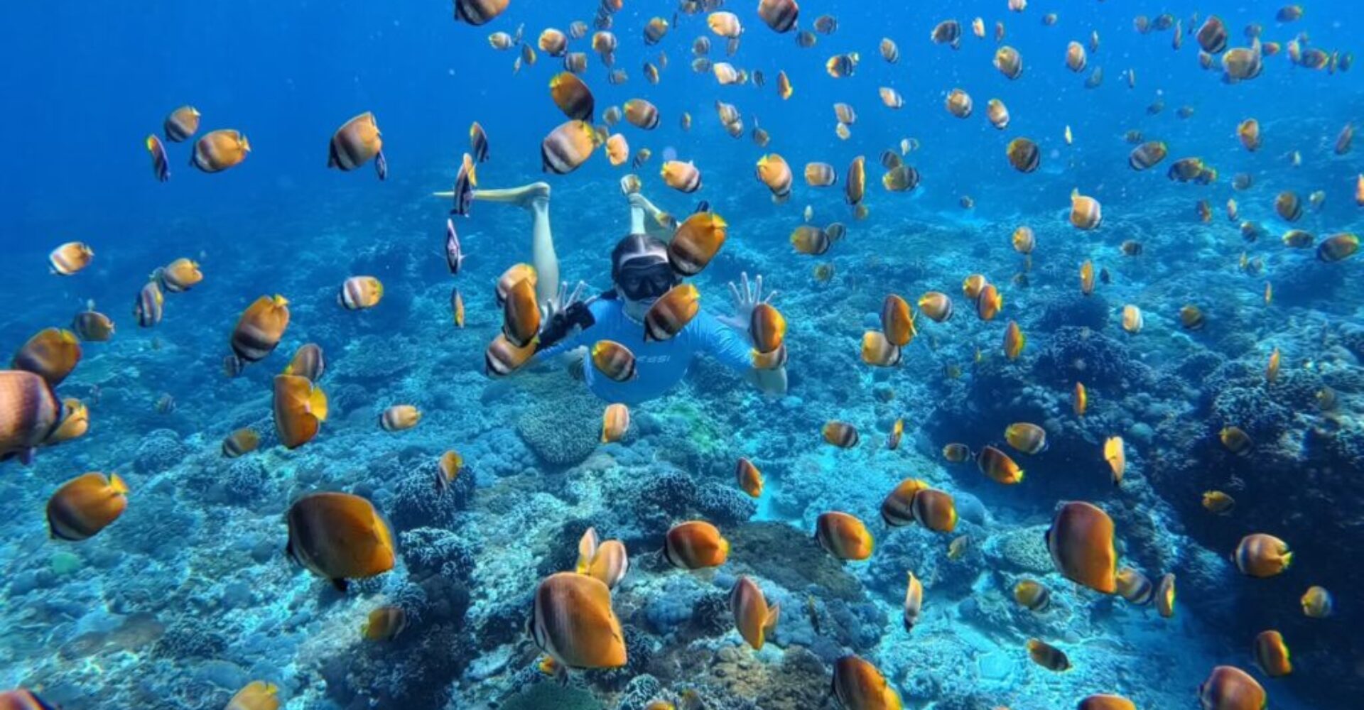 Nusa Penida Snorkeling Adventure 3-Spots with Manta Rays (9) Nusa Penida Snorkeling Adventure 3-Spots with Manta Rays (9)